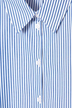 COS REGULAR CURVED-HEM SHIRT BLUE / STRIPED
